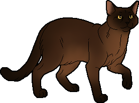 Pixel art of Sporeberry, a brown and black cat with gold eyes.